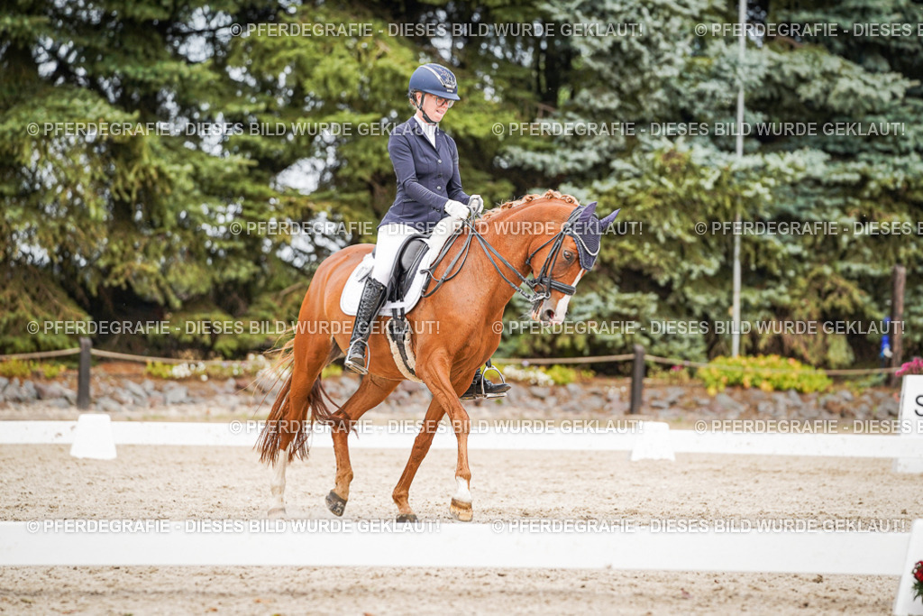 DSC07033 | Pferdegrafie