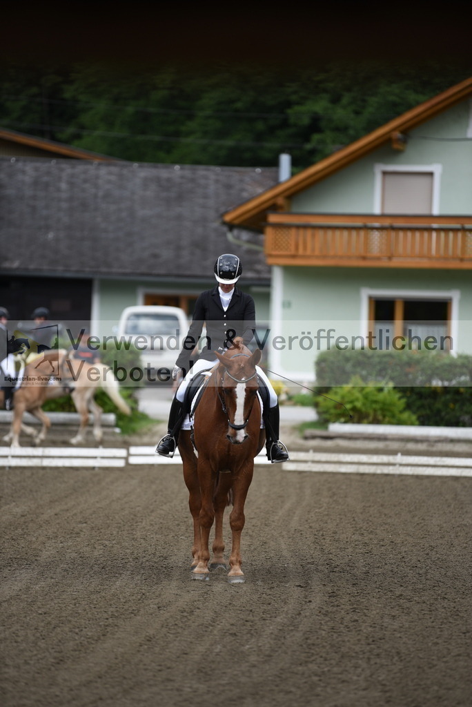 DSC_3610 | equestrian-live-com