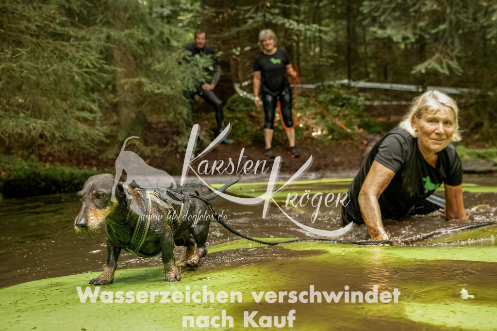 1222_ZZ94108-Bearbeitet | kk-dogfotos