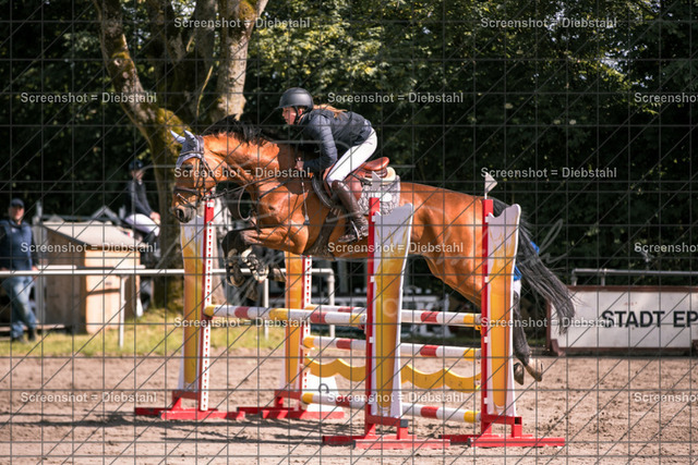 _W6A6597 | ronjaprokoschfotografie - Realisiert mit Pictrs.com