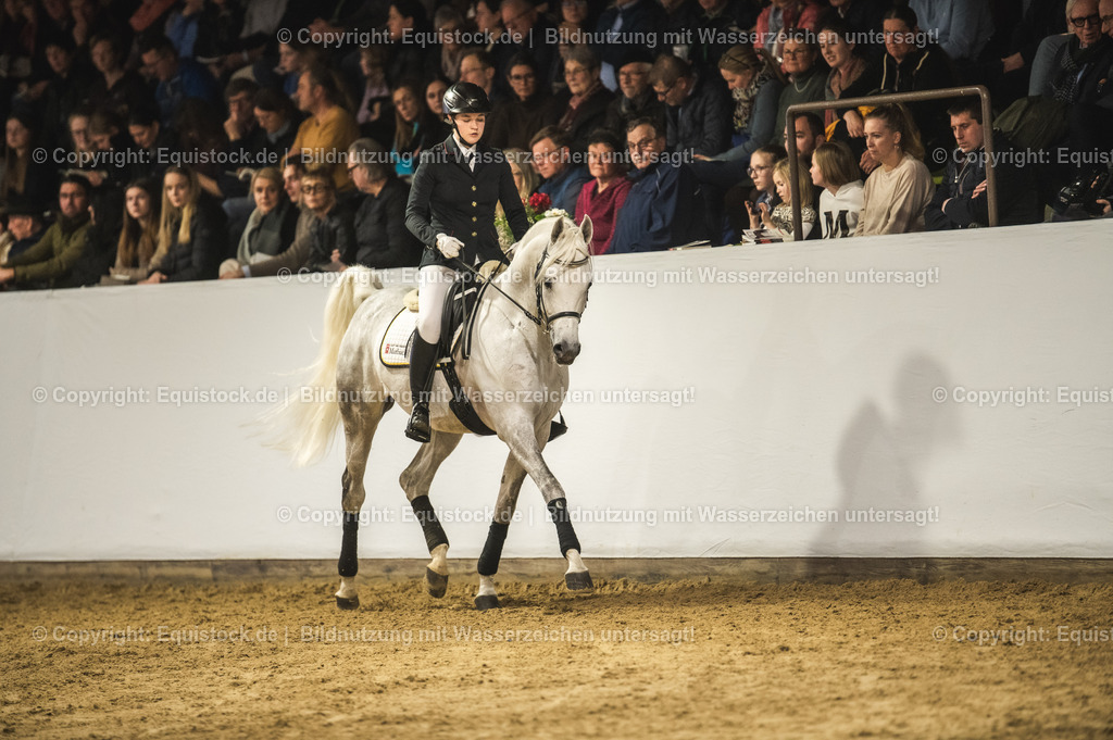 20240302_Hengstvorstellung_Marbach_TOMsPiC_1052 | equistock