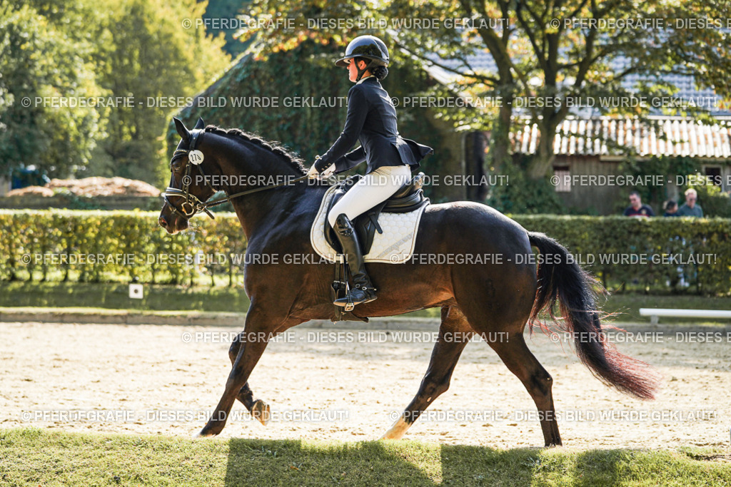 DSC08376 | Pferdegrafie