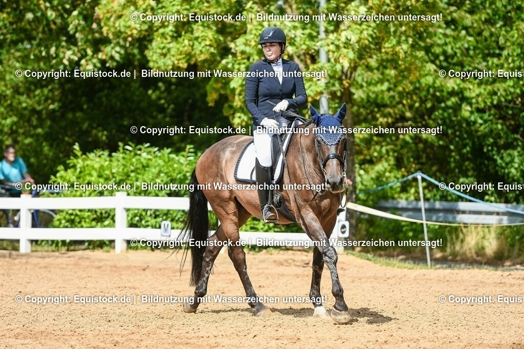 20230716_01_Dressurprüfung Kl.M_0313 | equistock