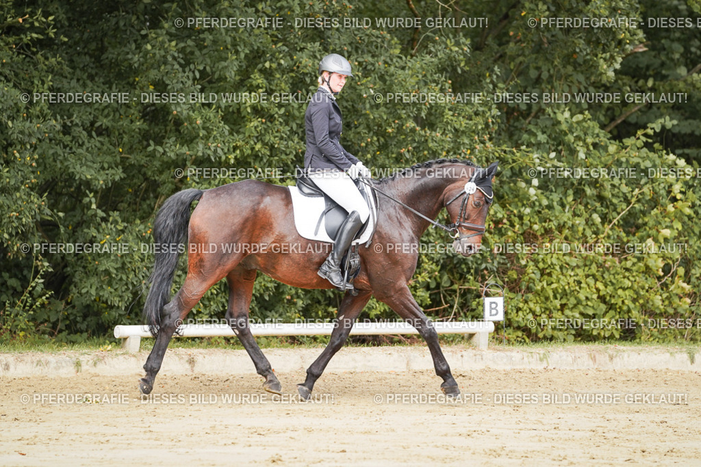 DSC01742 | Pferdegrafie