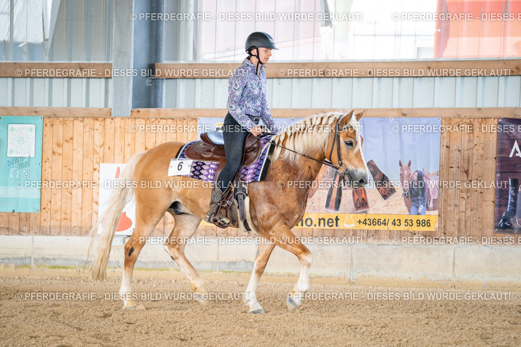 DSC02484 | Pferdegrafie