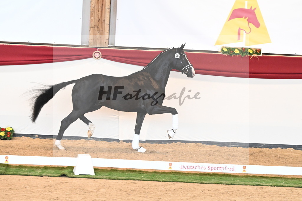 Kat.-Nr. 70 v. Totilas_Fischer_2241044 | hf-fotografie - Realisiert mit Pictrs.com