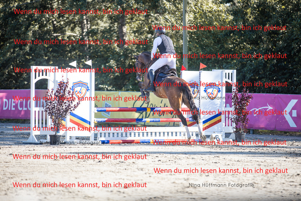 BK1A7463 | Turnierbilder Turnierfotos Nina Hüffmann Turnierfotografie Pferdefotografie Tierzeichnung Haustierzeichnung Pferdezeichnung Hundezeichnung Videograf  - Realisiert mit Pictrs.com