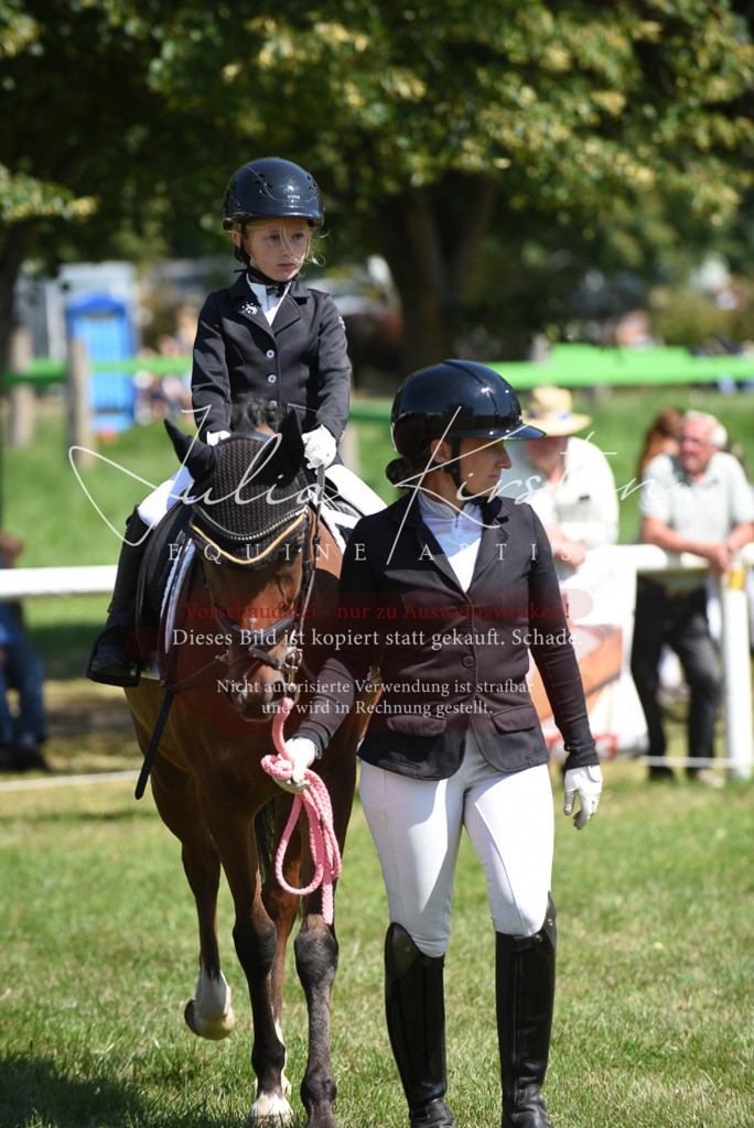 DSC_9758 | Pferde- und Turnierfotografie in Westsachsen. Pferdeportraits, Auftragszeichnungen und intuitive Kunst.