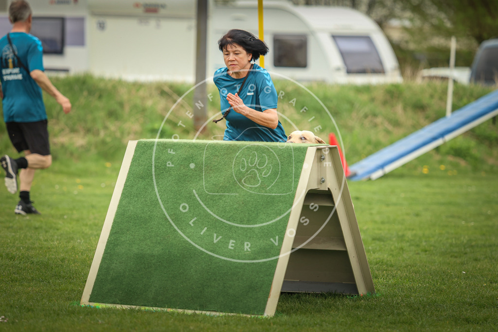 Pfotenfotografie_0L8A0665 | Hundefotografie, Tierfotograf, Pfotenfotografie, Fotoshooting Hund, Hunde Portrait, Hundesport, Hundeportraits, Heideshooting, Hunde, Sportfotograf, Hundefotograf, Turnierhundsport, THS,  - Realisiert mit Pictrs.com