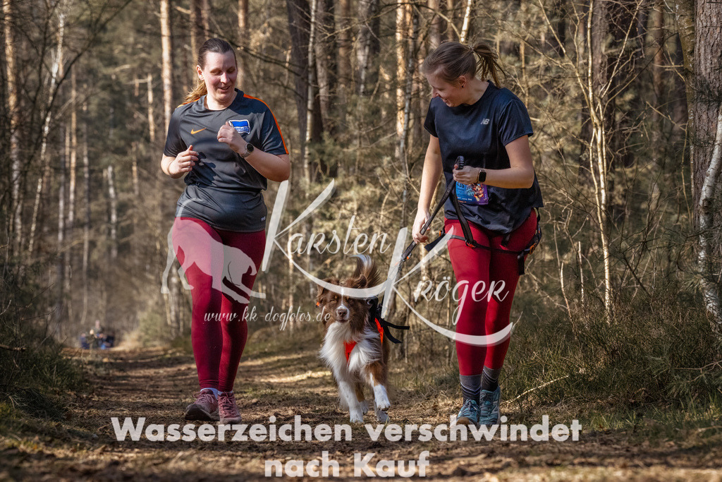 1224_ZZ93360-Bearbeitet | kk-dogfotos
