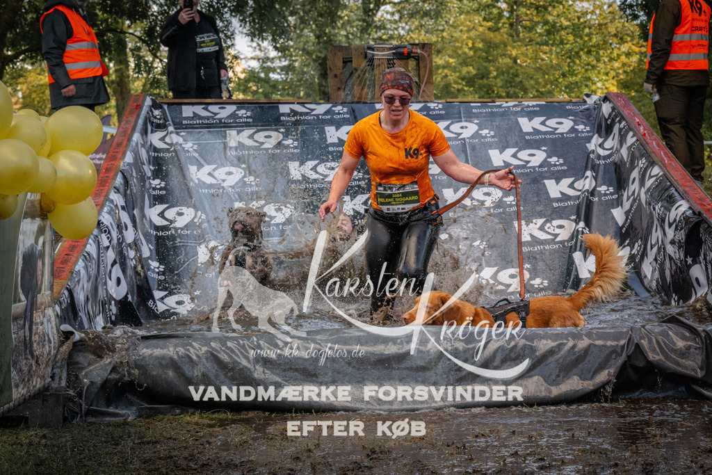 1555_ZZ91270 | kk-dogfotos