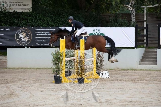 2B4A1563 | pixelfaenger - Realisiert mit Pictrs.com