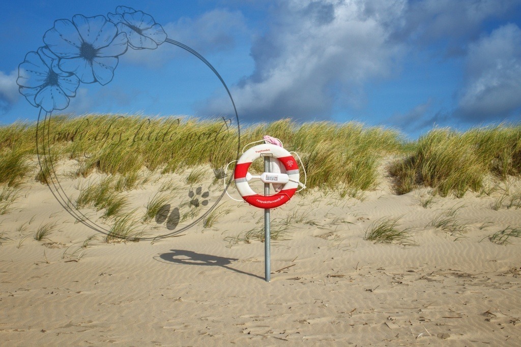 IMG_8018-01 | only.this.little.world - Realisiert mit Pictrs.com