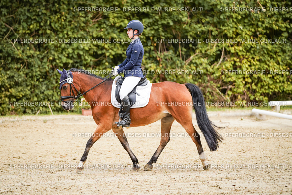 DSC00648 | Pferdegrafie