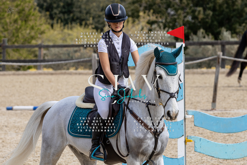 IMG_3703 | s-jay-photography - Realisiert mit Pictrs.com