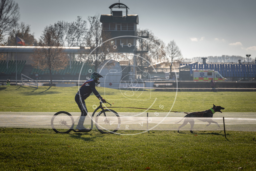 CaniXpix_DV3A1938 | Hundefotografie, Tierfotograf, Pfotenfotografie, Fotoshooting Hund, Hunde Portrait, Hundesport, Hundeportraits, Heideshooting, Hunde, Sportfotograf, Hundefotograf, Turnierhundsport, THS,  - Realisiert mit Pictrs.com