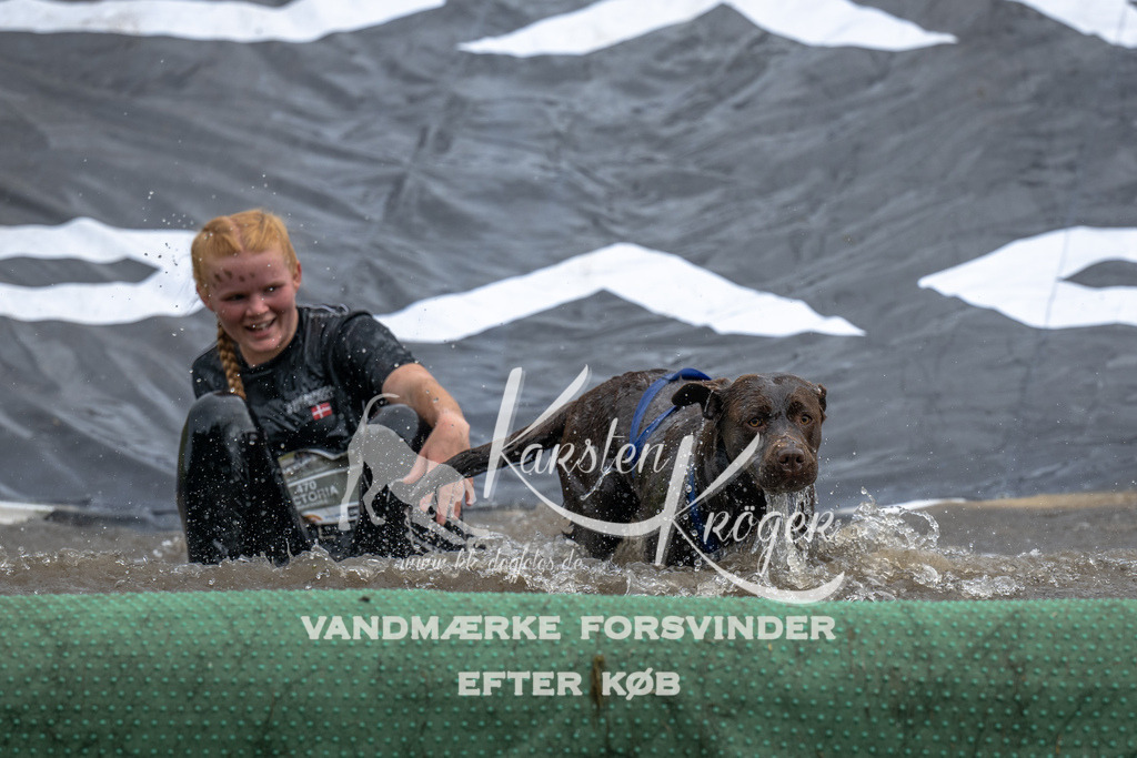 1515_ZZ92378 | kk-dogfotos