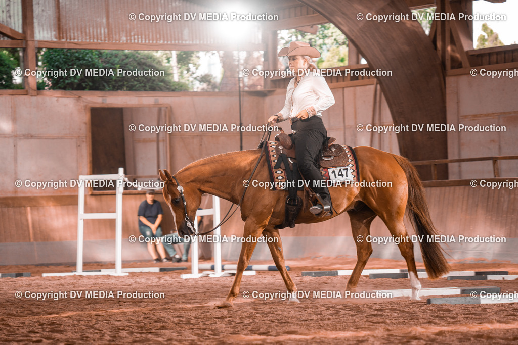 NE300152 | dv-media-shop - Realisiert mit Pictrs.com