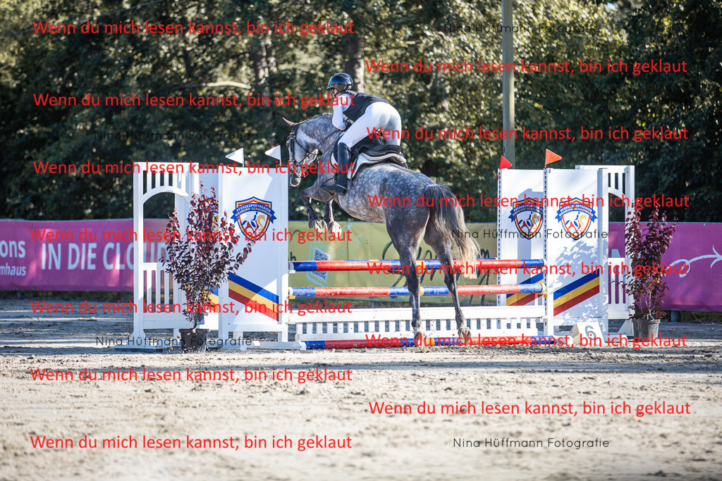 BK1A7531 | Turnierbilder Turnierfotos Nina Hüffmann Turnierfotografie Pferdefotografie Tierzeichnung Haustierzeichnung Pferdezeichnung Hundezeichnung Videograf  - Realisiert mit Pictrs.com