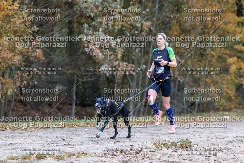 Dog Paparazzi - SD CaniX Championship 2025-97 | Dog Paparazzi Jeanette Grottendiek Fotografie & Videografie - Realisiert mit Pictrs.com