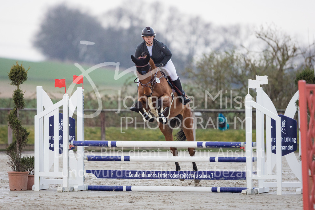 230408_Frühlingsfest_Stil-A1-408 | Deine schönsten Turniermomente als professionelle Fotos! Entdecke hochwertige Pferdesport-Fotografie im Online-Shop. Jetzt Fotos finden & bestellen!