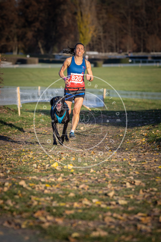 CaniXpix_DV3A3240 | Hundefotografie, Tierfotograf, Pfotenfotografie, Fotoshooting Hund, Hunde Portrait, Hundesport, Hundeportraits, Heideshooting, Hunde, Sportfotograf, Hundefotograf, Turnierhundsport, THS,  - Realisiert mit Pictrs.com