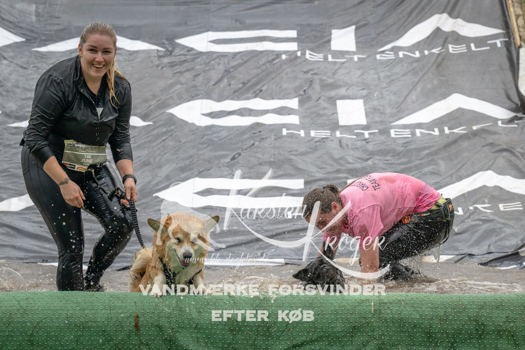 1551_ZZ91156 | kk-dogfotos