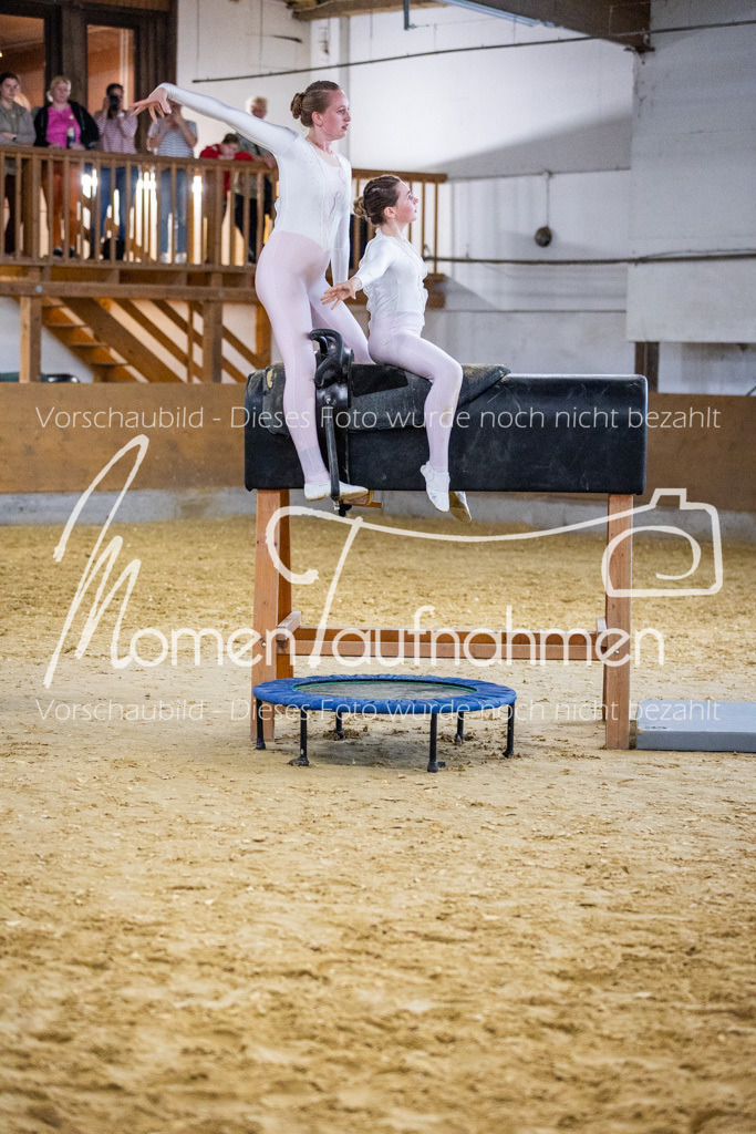 Holzpferd-114 | MomenTaufnahmen Pferdesportfotos