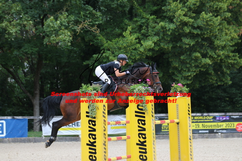 IMG_7905 | lmwpictures - Realisiert mit Pictrs.com