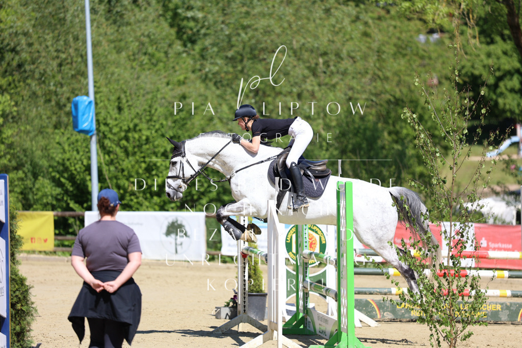 IMGS7537 | pl-fotografie