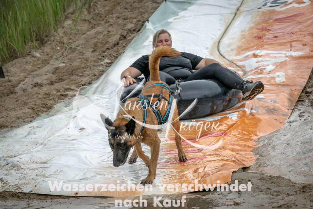 1543_ZZ98547 | kk-dogfotos