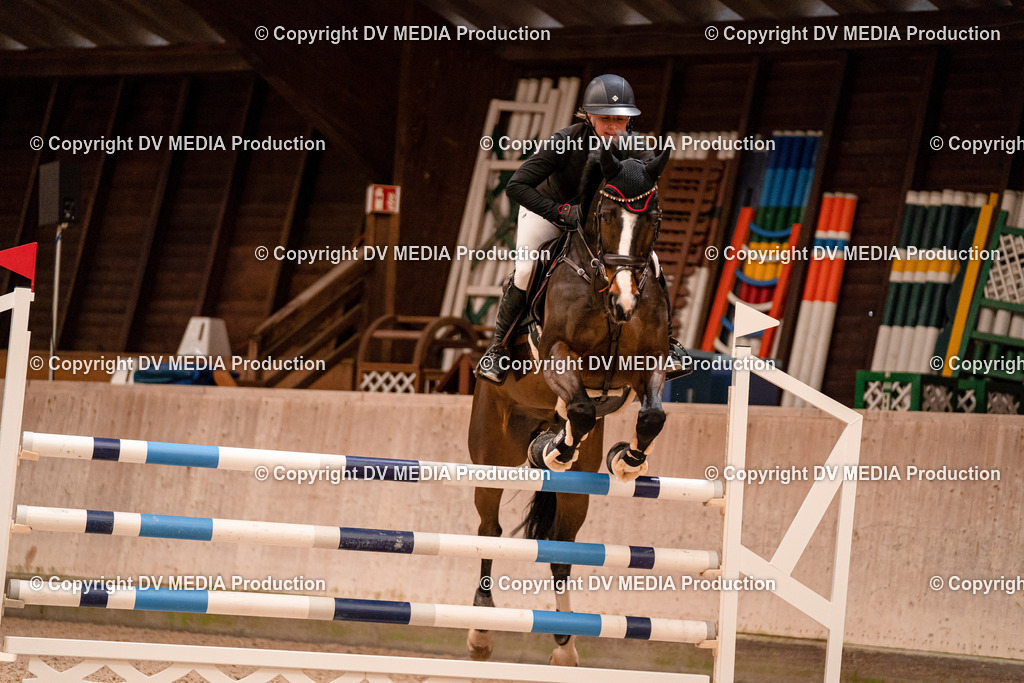 Springen Tag 1-627 | dv-media-shop - Realisiert mit Pictrs.com