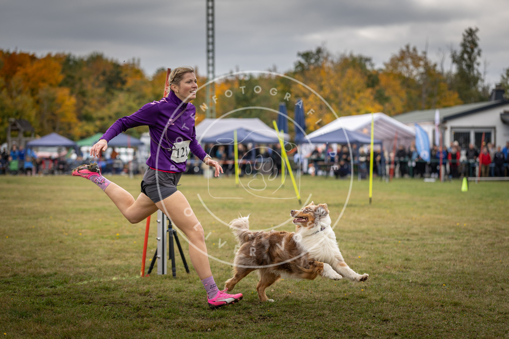 Pfotenfotografie_DV3A7678 | Hundefotografie, Tierfotograf, Pfotenfotografie, Fotoshooting Hund, Hunde Portrait, Hundesport, Hundeportraits, Heideshooting, Hunde, Sportfotograf, Hundefotograf, Turnierhundsport, THS,  - Realisiert mit Pictrs.com