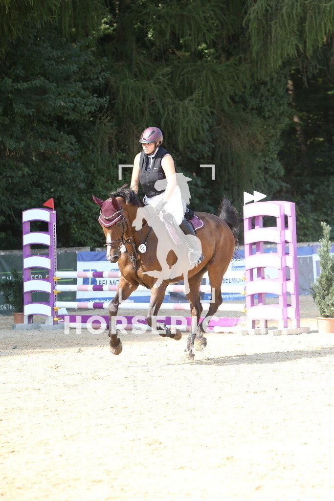 DL2Q0508 | Willkommen bei Brunnmayr - Design & Fotografie – Ihrem Spezialisten für Reitturniere und Pferdeveranstaltungen in Oberösterreich, Salzburg und Bayern! Seit über 17 Jahren sind wir leidenschaftlich dabei.