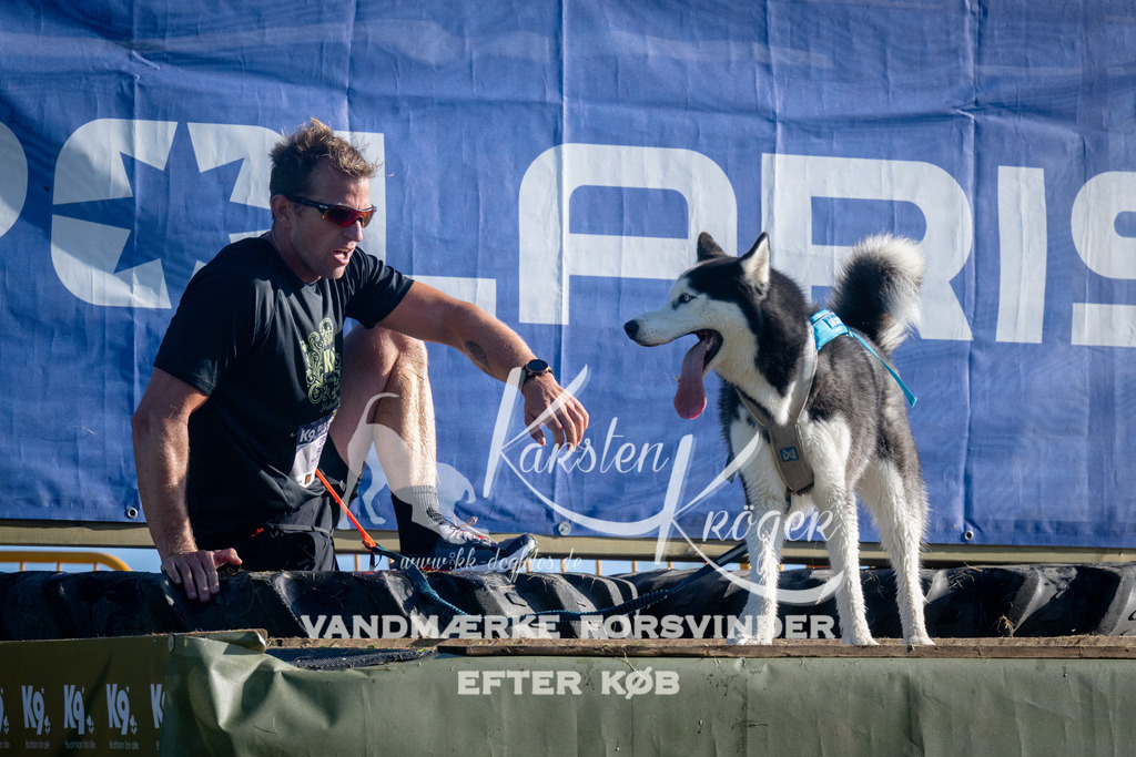 0843_ZZ94801 | kk-dogfotos