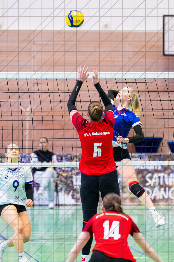 Verbandsliga 1 (Frauen) | VCO Osnabrück II vs. SV Alemania Salzbergen 2 | 07.02.26: Verbandsliga 1 (Frauen) | VCO Osnabrück II vs. SV Alemania Salzbergen 2 / Osnabrück / Deutschland  //   CREDIT:www.bullenfotos.de, Martin König, Hörner Weg 40, D-49078 Osnabrück, +4917663732967 // Nutzung und Weitergabe nur zu den vereinbarten Zwecken. Presseanfragen an Ersteller. Alle Rechte beim Ersteller. Honorierung nach MFM. - Realisiert mit Pictrs.com