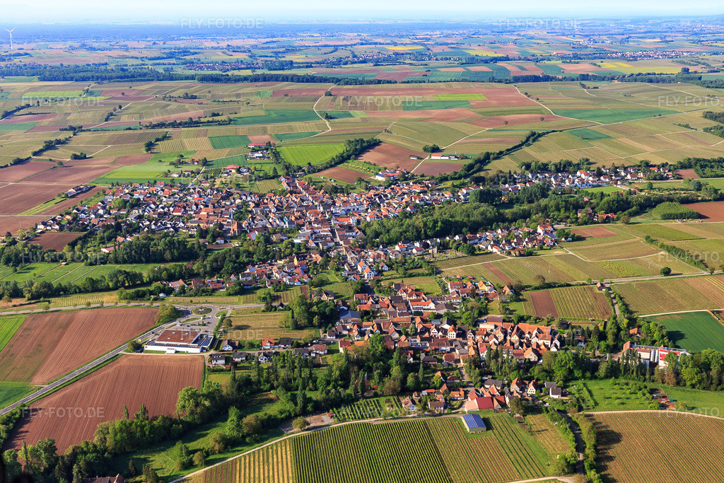 Luftbild: Ortsansicht von Norden im Ortsteil Appenhofen in Billigheim-Ingenheim im Bundesland Rheinland-Pfalz in Deutschland. Foto: IMG_120731.jpg vom 03.05.2020 durch Werner Riehm/FLY-FOTO.de