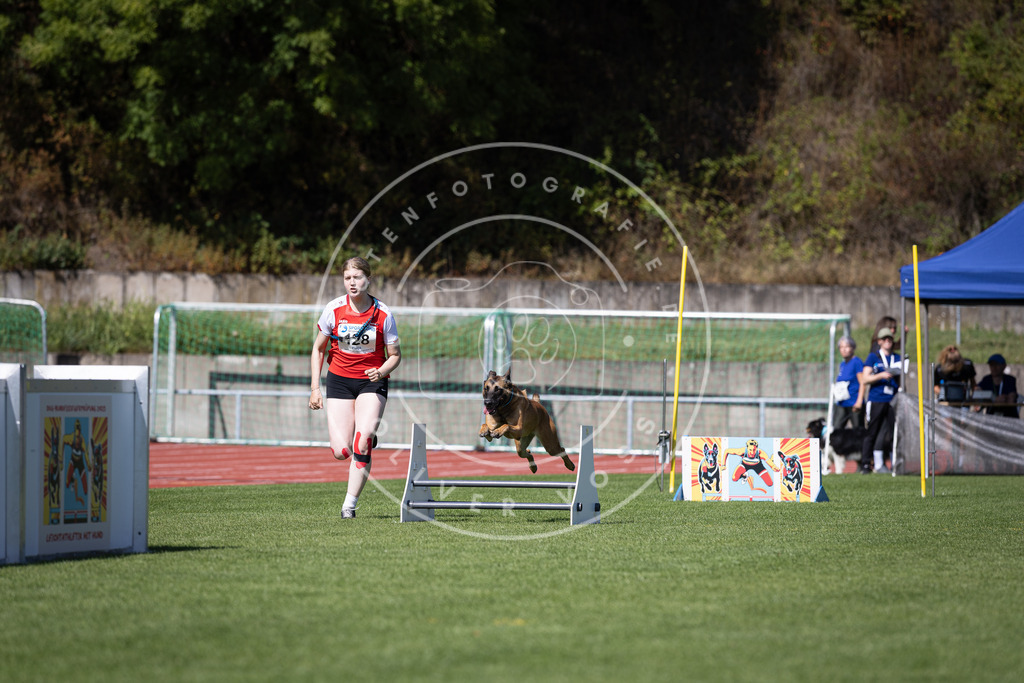 Pfotenfotografie_DV3A8693 | Hundefotografie, Tierfotograf, Pfotenfotografie, Fotoshooting Hund, Hunde Portrait, Hundesport, Hundeportraits, Heideshooting, Hunde, Sportfotograf, Hundefotograf, Turnierhundsport, THS,  - Realisiert mit Pictrs.com