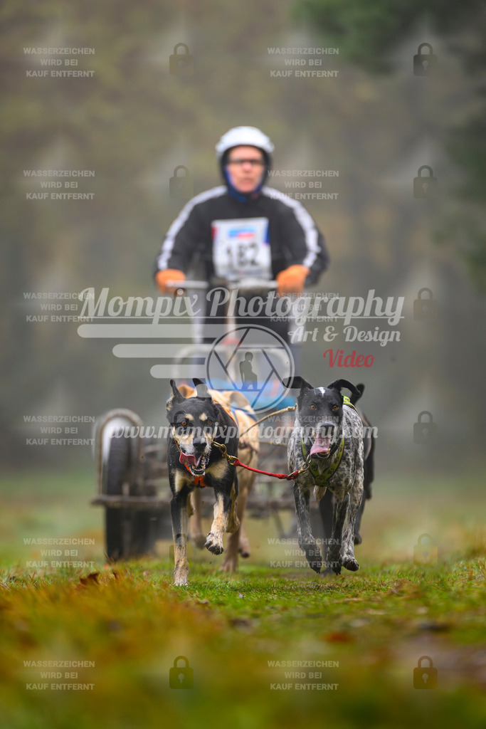 MompixPhotography_Bischwiller2025_Kart-21 | mompixphotography
