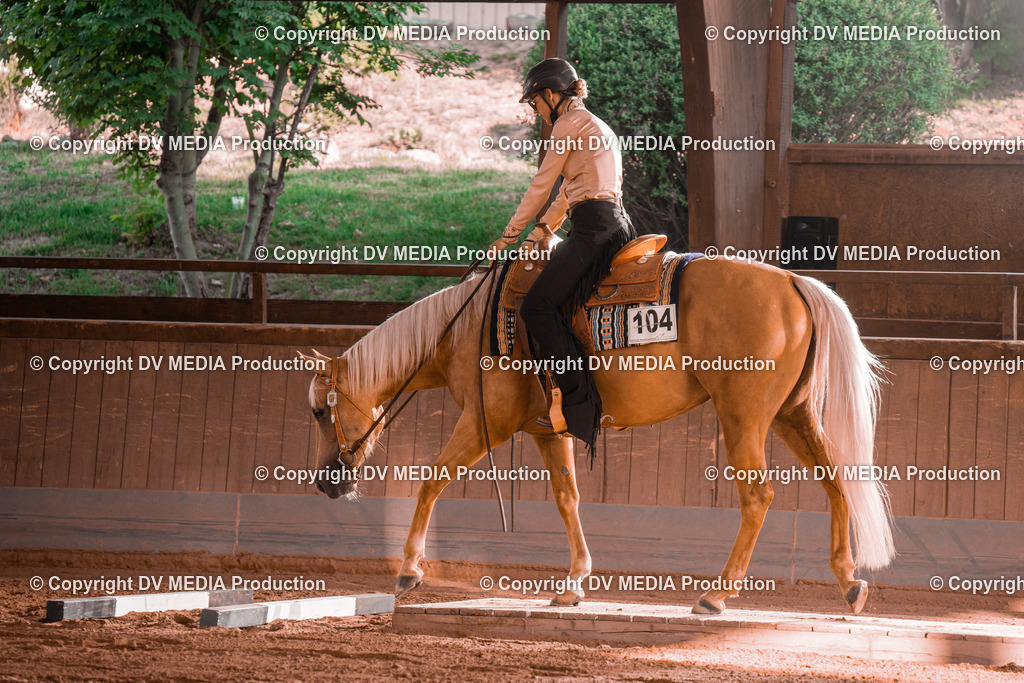 NE300016 | dv-media-shop - Realisiert mit Pictrs.com