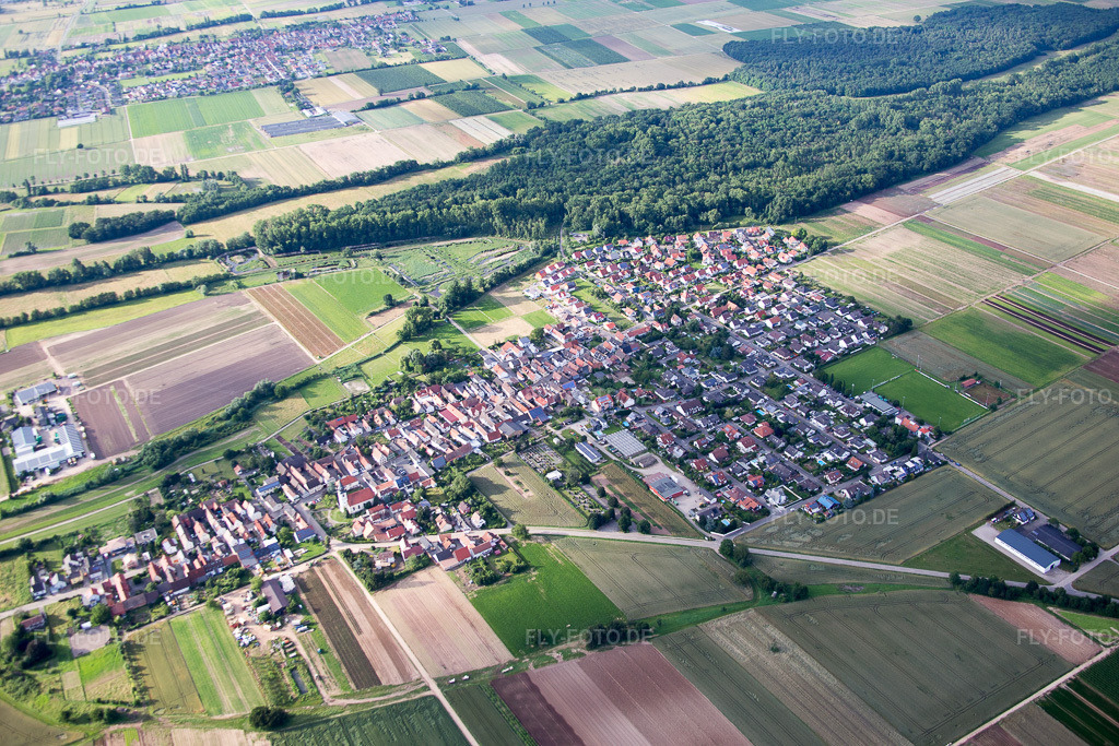 Luftbild: landwirtschaftlichen Feldern und Nutzflächen in Freisbach im Bundesland Rheinland-Pfalz in Deutschland. Foto: IMG_090068.jpg vom 26.06.2016 durch Werner Riehm/FLY-FOTO.de