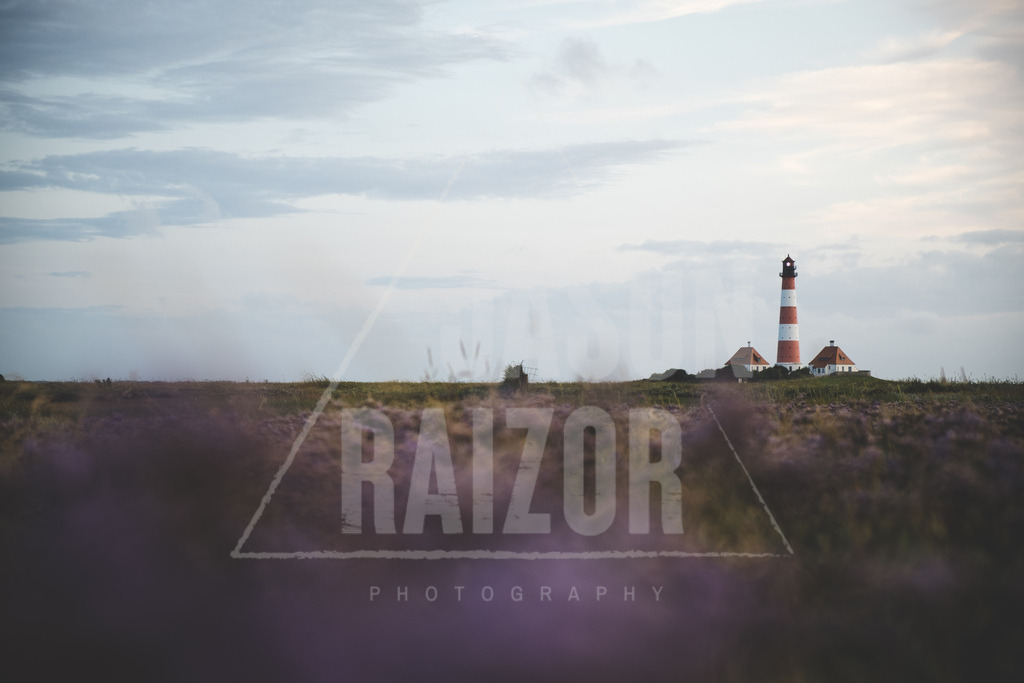 DSCF0844 | jasonraizor - Realisiert mit Pictrs.com