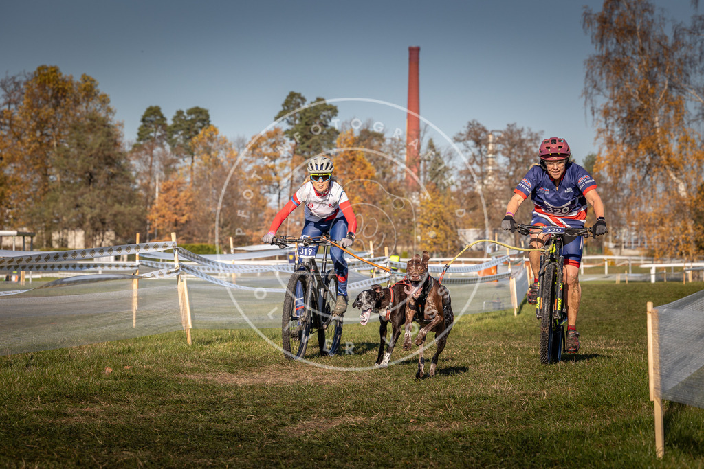 CaniXpix_0L8A5669 | Hundefotografie, Tierfotograf, Pfotenfotografie, Fotoshooting Hund, Hunde Portrait, Hundesport, Hundeportraits, Heideshooting, Hunde, Sportfotograf, Hundefotograf, Turnierhundsport, THS,  - Realisiert mit Pictrs.com