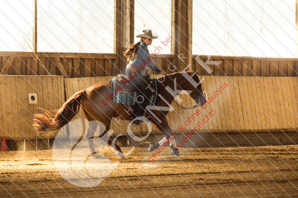 IMG_5233 | Sport-, Event- und Tierfotos in Profiqualität. Einfach auswählen, bestellen und herunterladen. Dein Moment – perfekt festgehalten.