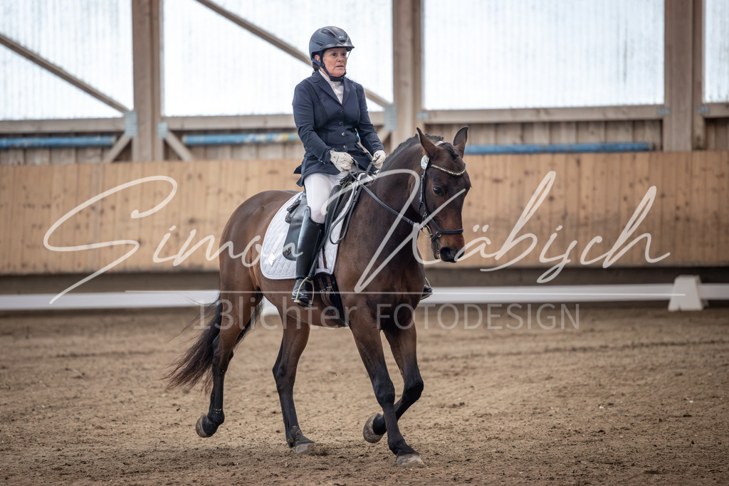 20251011-_3LI9340 | Tierfotografie Pferde, Hunde, Katzen, Haustiere.
Turnierfotografie Reitturniere, Reiten, Springreiten, Dressur in Hanau, dem Main-Kinzig-Kreis und dem Rhein-Main- Gebiet um Frankfurt