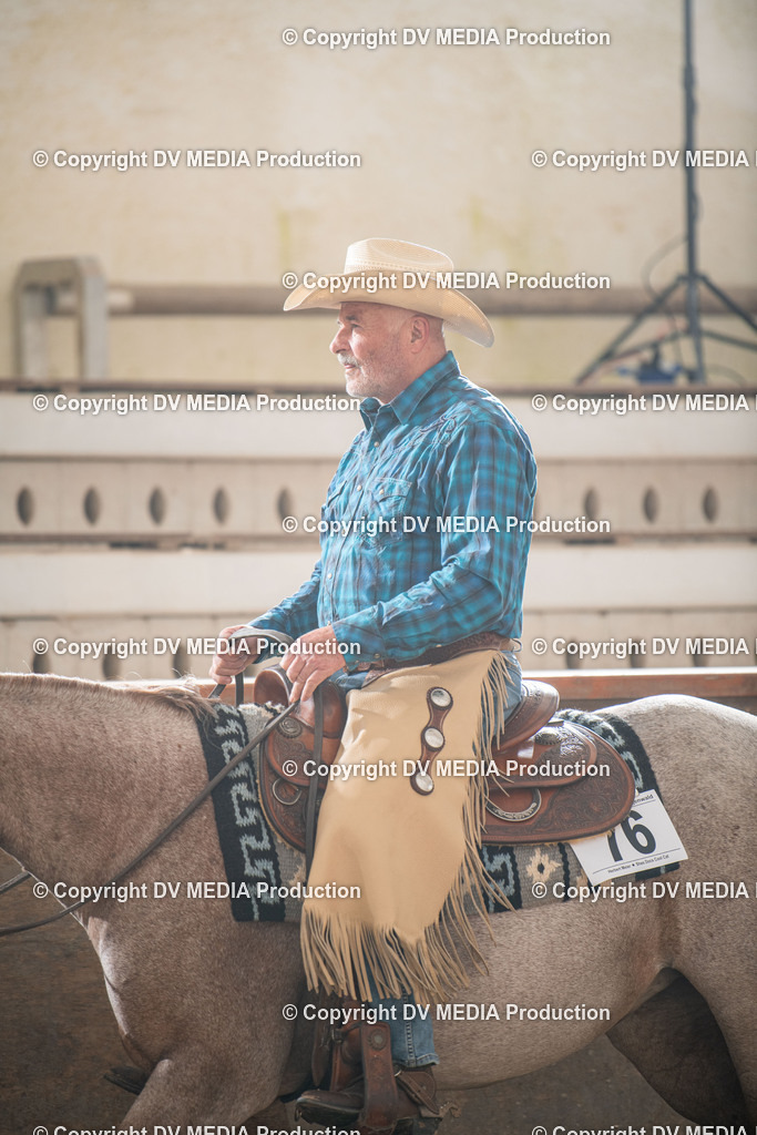 Heiligenwald Tag 1-486 | dv-media-shop - Realisiert mit Pictrs.com