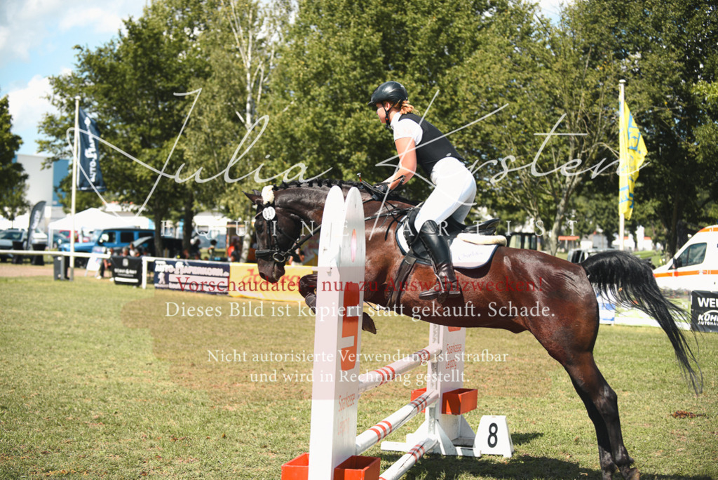 DSC_6650 | Pferde- und Turnierfotografie in Westsachsen. Pferdeportraits, Auftragszeichnungen und intuitive Kunst.
