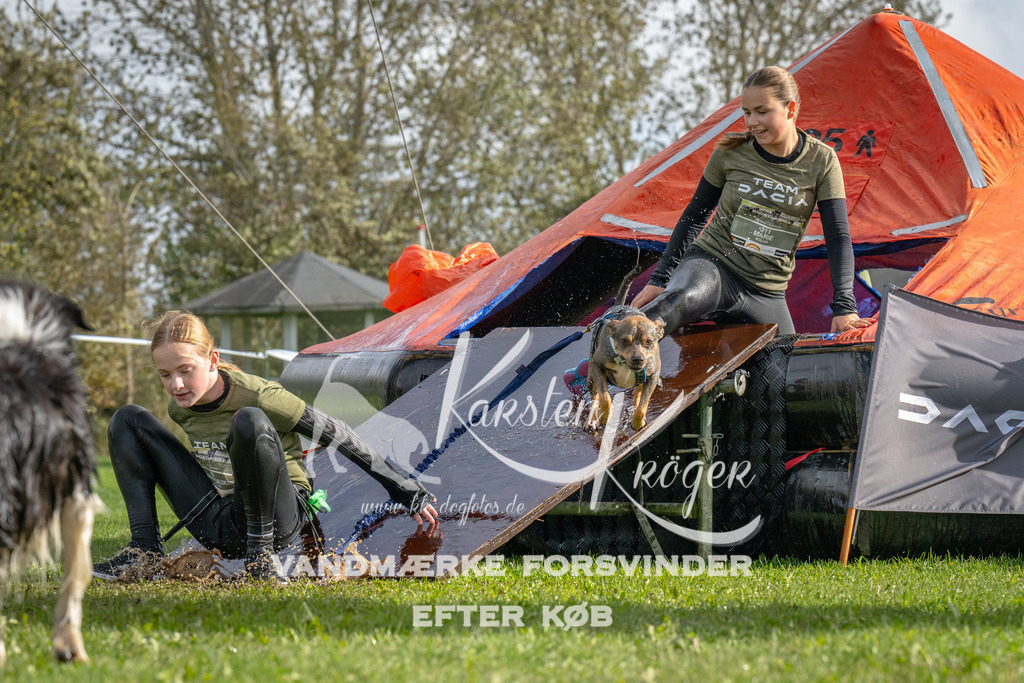 1216-93043 | kk-dogfotos