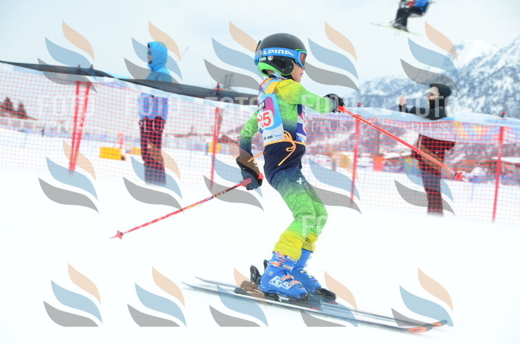 DSC_1285 | holidayphoto