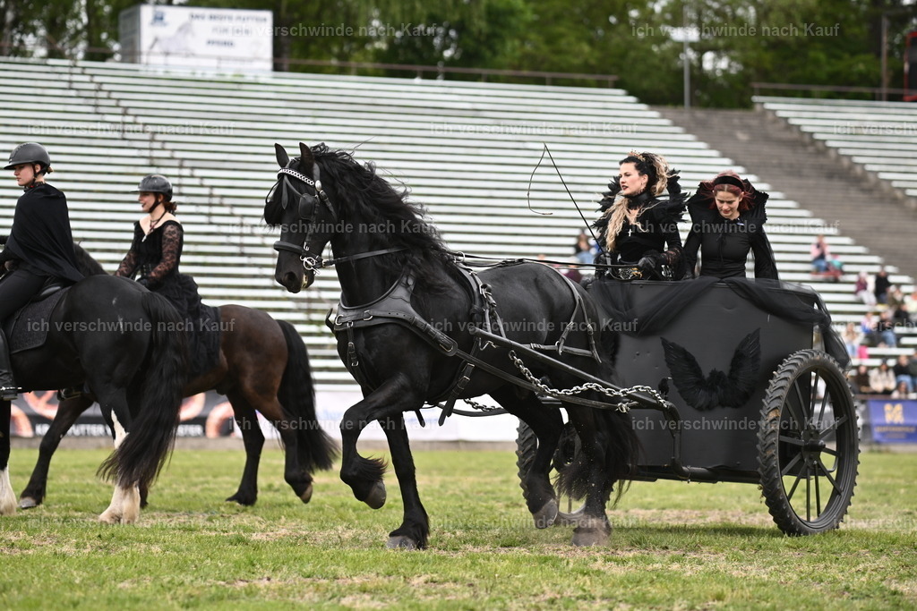 PI26_Show_Sara_Landvogt_226_1254.JPG | working equitationturnier fotograf videograf stoibphotography marixx film working equitation deutschland reitsport turnierfotografie eventfotografie equestrian events